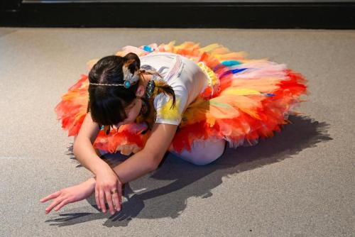 2025-02-22-Aubade-VNL-2